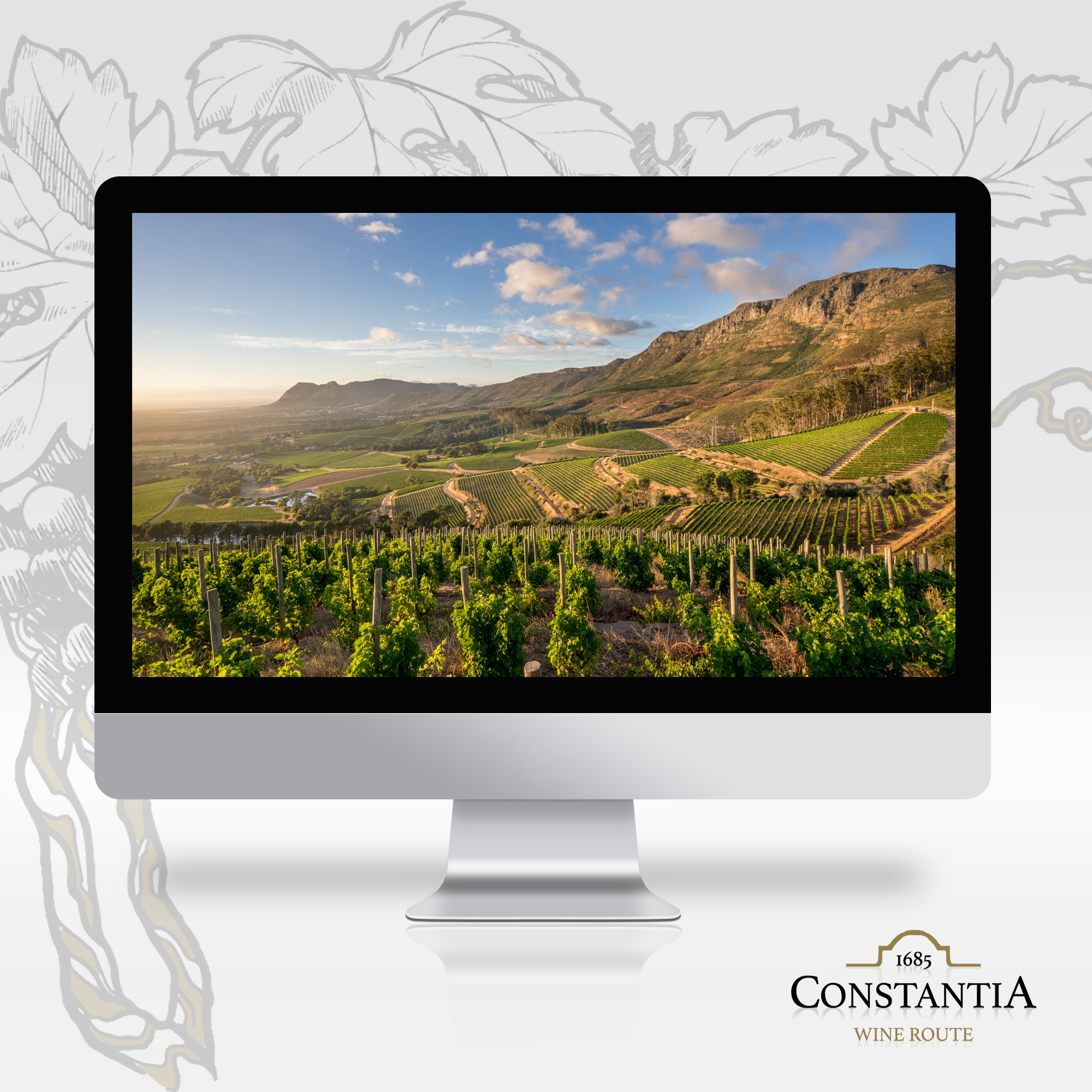 Featured image for “Serious about Sauvignon | Constantia’s Golden Thread”